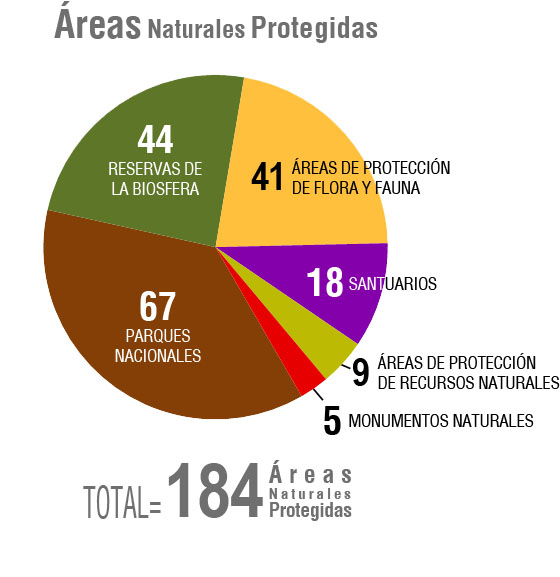graficapastel