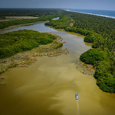 manglares mexico