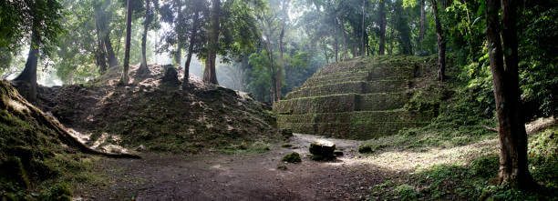selva de mexico